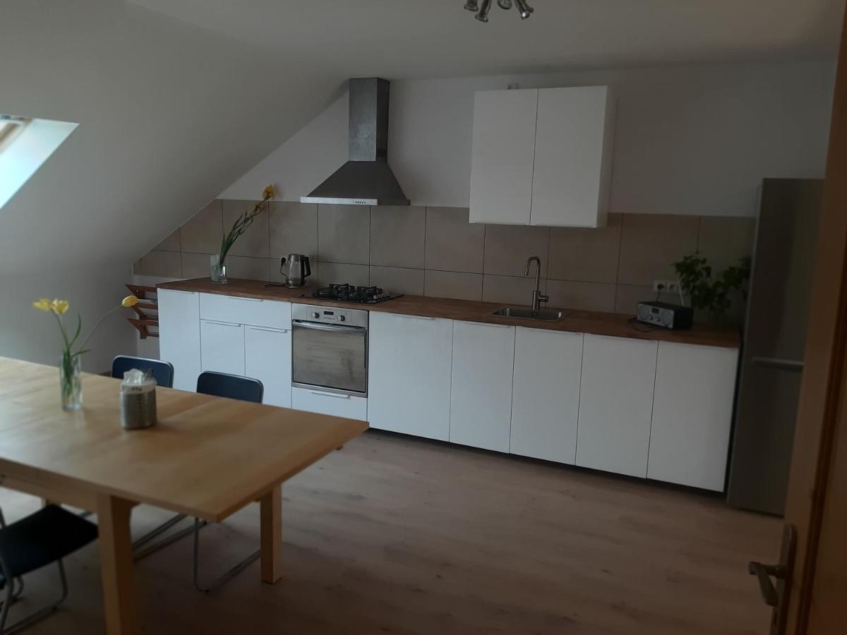 Příbram Apartman Dvorak 194 Pod Svatou Horou מראה חיצוני תמונה