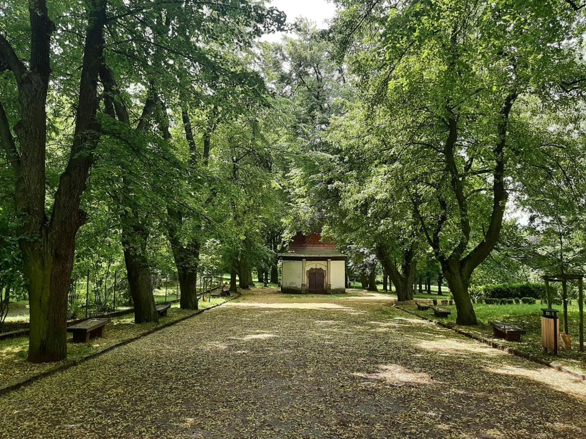 Příbram Apartman Dvorak 194 Pod Svatou Horou מראה חיצוני תמונה