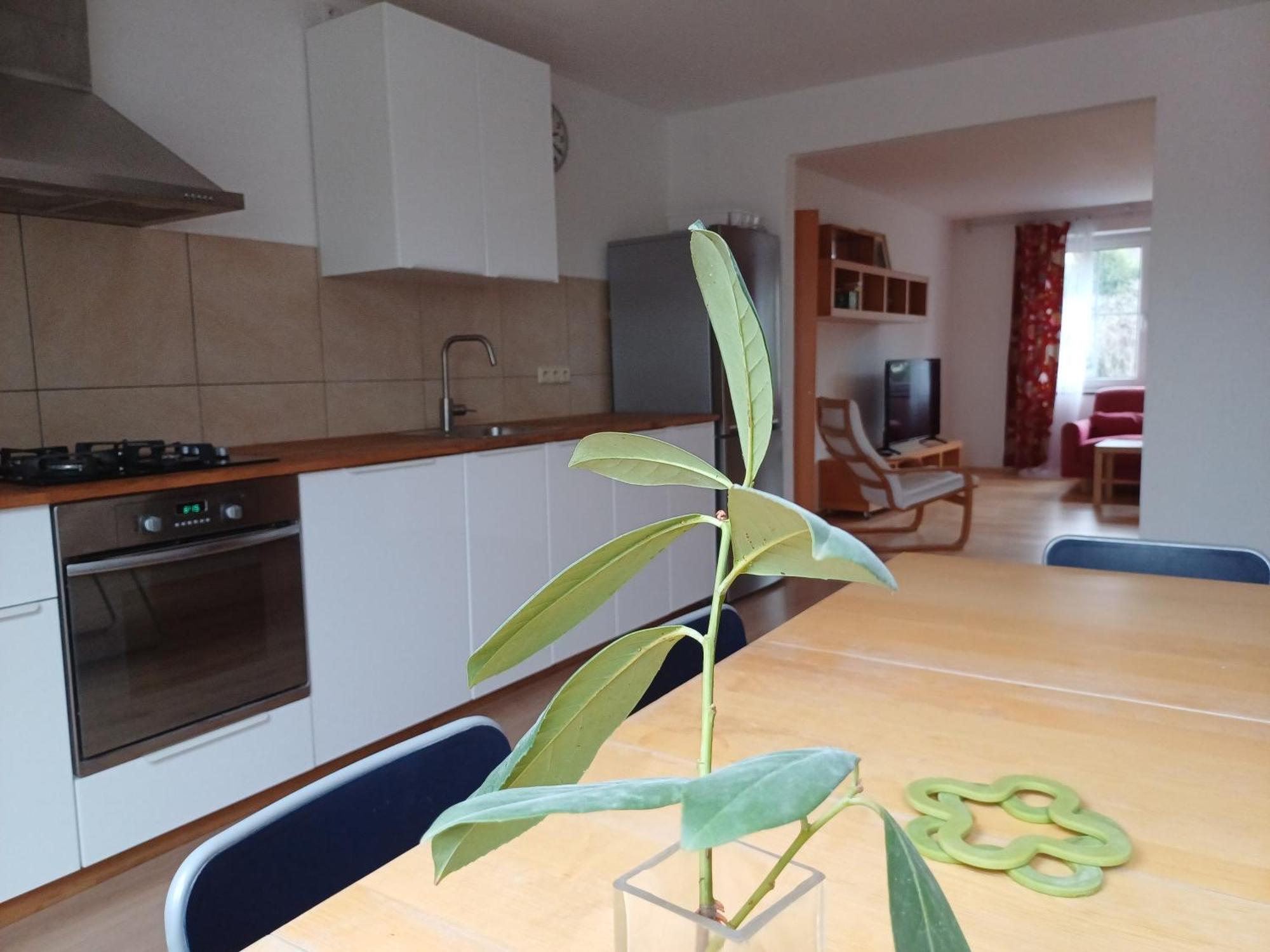 Příbram Apartman Dvorak 194 Pod Svatou Horou מראה חיצוני תמונה